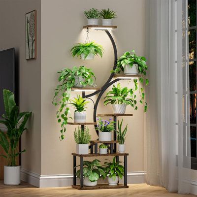 Where to Get DIY Free Sebo Repair Advice
